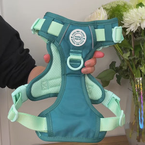 Trail & Glow Dog Harness - COLOUR DROPS® - Ice Teal
