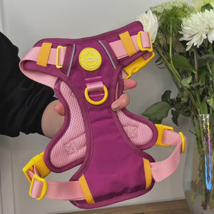 Trail & Glow Dog Harness - COLOUR DROPS® - We're Jammin'