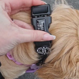 Waterproof Adjustable Collar - Colour Drops - Jet Black