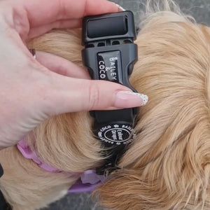 Waterproof Adjustable Collar - Colour Drops - Jet Black