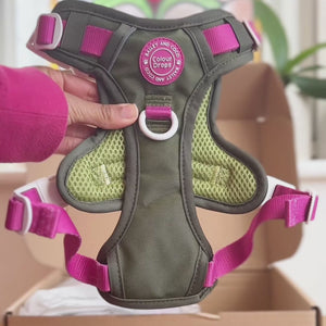 Trail & Glow Dog Harness - COLOUR DROPS® - Olive it Hot