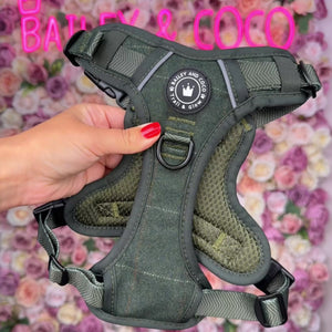 Dog Walking Bag - Black with Forest Tweed Strap