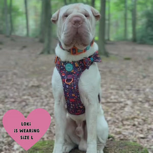 Trail & Glow Dog Harness - COLOUR DROPS® - Bewitched