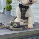 Trail & Glow - Dog Harness Bundle Set - Colour Drops - Mayfair Tweed