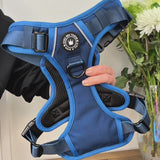 Trail & Glow® Ink Blue Dog Harness