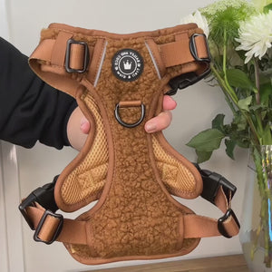 Trail & Glow® Dog Harness - Teddy Bear