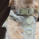 Bow Tie - Colour Drops - Sage Tweed