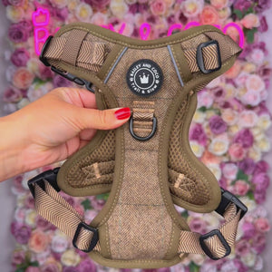 Oxford Tweed Strap for Dog Walking Bag