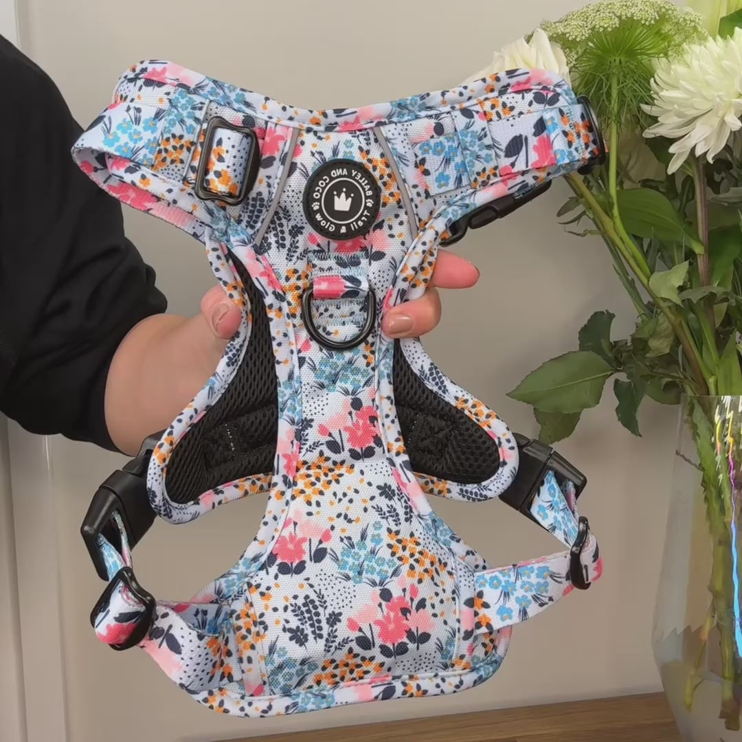 Front Clip Dog Harness | No Pull Dog Harness | Spring Dreams