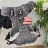 Trail & Glow Tweed Dog Harness - Slate Tweed