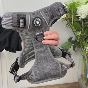 Trail & Glow Tweed Dog Harness - Slate Tweed