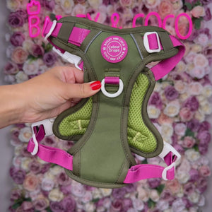 Dog Walking Bag - Black with Khaki Strap
