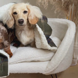 Mayfair Tweed Dog Blanket