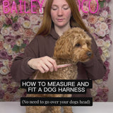 Trail & Glow Tweed Dog Harness - Colour Drops - Heritage Plaid