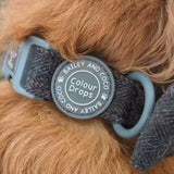 Adjustable Collar - Colour Drops - Charcoal Tweed