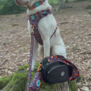 Dog Walking Bag - Black with Bewitched Strap