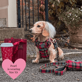 Red Highland Tartan Adjustable Dog Harness, Lead, Collar & Dog Walking Bag Bundle - Bailey and Coco (UK)
