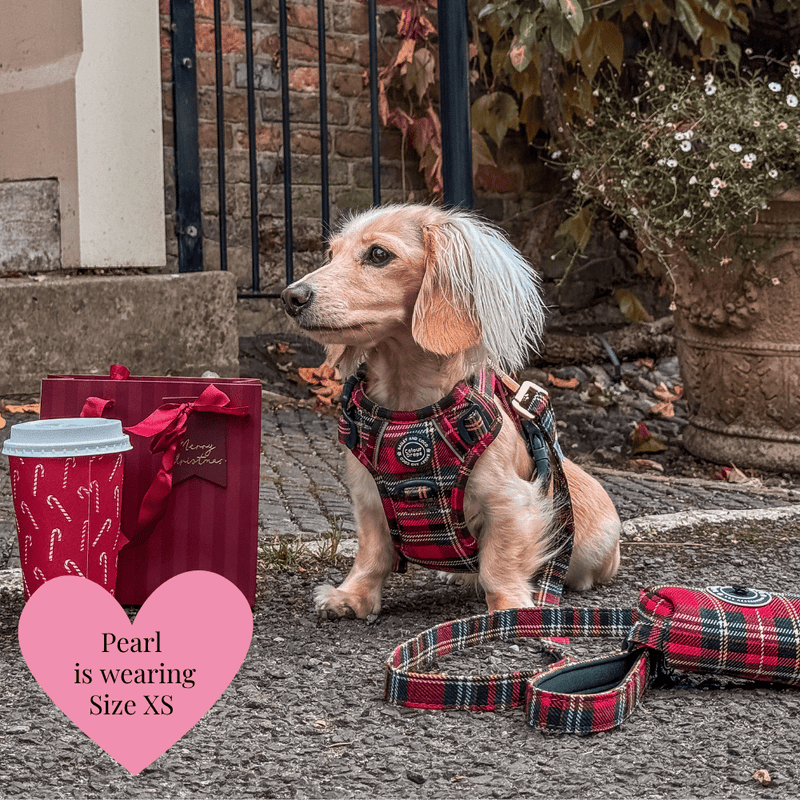 Red Highland Tartan Adjustable Dog Harness, Lead, Collar & Dog Walking Bag Bundle - Bailey and Coco (UK)