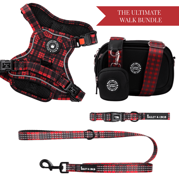 Red Tartan Adjustable Dog Harness, Lead, Collar & Dog Walking Bag Bundle - Bailey and Coco (UK)