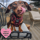 Red Tartan Adjustable Dog Harness, Lead, Collar & Dog Walking Bag Bundle - Bailey and Coco (UK)