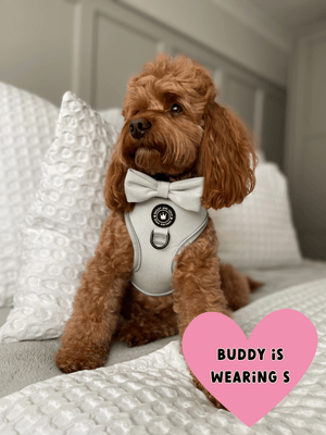 Reflective Tweed Dog Harness in Sage Green - Comfort Fit, Adjustable, with D - Ring for Leads - Sizes XXS/XS/S/M - Bailey and Coco (UK)