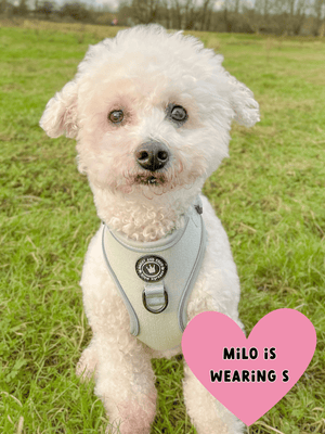 Reflective Tweed Dog Harness in Sage Green - Comfort Fit, Adjustable, with D - Ring for Leads - Sizes XXS/XS/S/M - Bailey and Coco (UK)