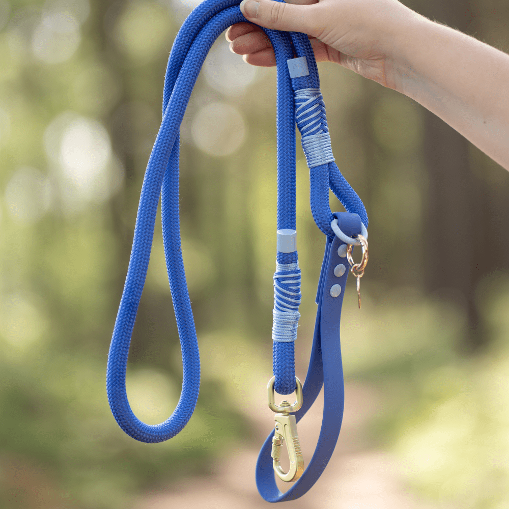 Head in the Clouds rope dog lead lifestyle shot showing the braided rope design and lockable clip in use