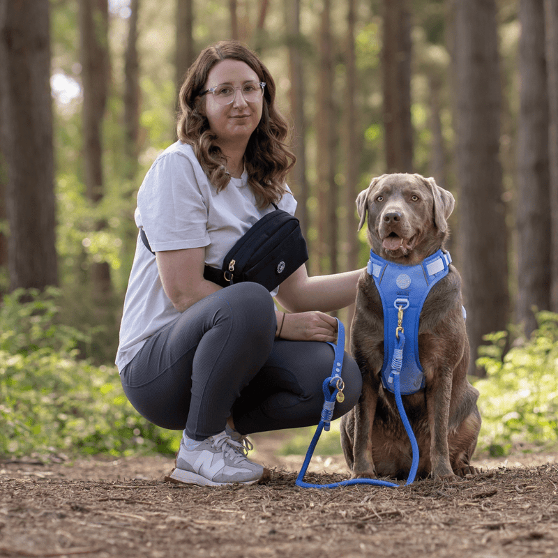 Rope Dog Lead COLOUR DROPS® - Head in the Clouds - Bailey and Coco (UK)