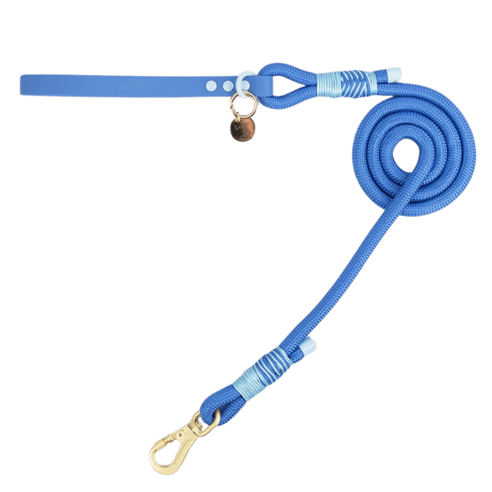 Head in the Clouds rope dog lead by Bailey and Coco, a pastel blue and white braided lead for stylish dog walks