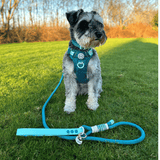 Rope Dog Lead COLOUR DROPS® - Ice Teal - Bailey and Coco (UK)