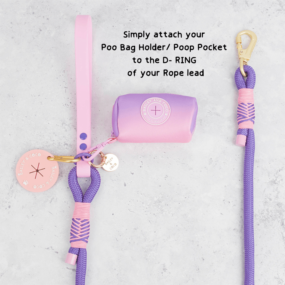 Rope Dog Lead COLOUR DROPS® - Love that for you - Bailey and Coco (UK)