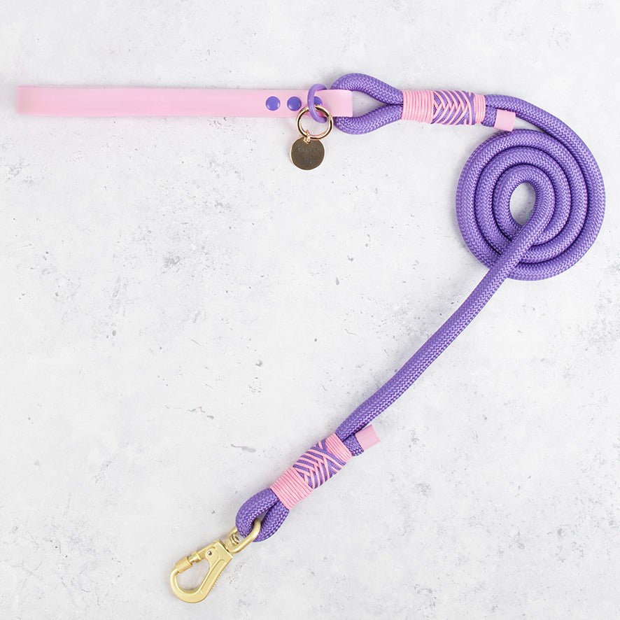 Rope Dog Lead COLOUR DROPS® - Love that for you - Bailey and Coco (UK)