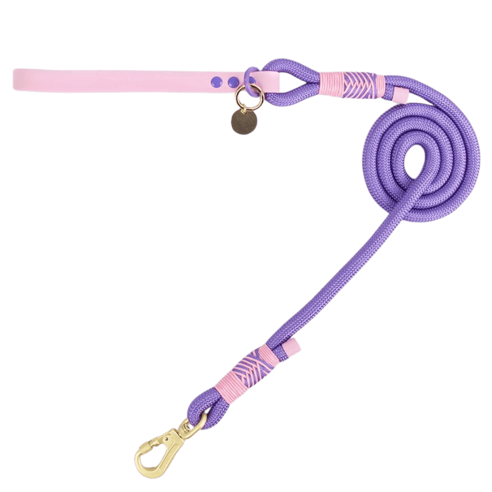 Love That For You rope dog lead by Bailey and Coco, a colourful double-braided nylon lead with gold hardware