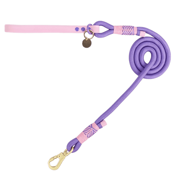 Rope Dog Lead COLOUR DROPS® - Love that for you - Bailey and Coco (UK)
