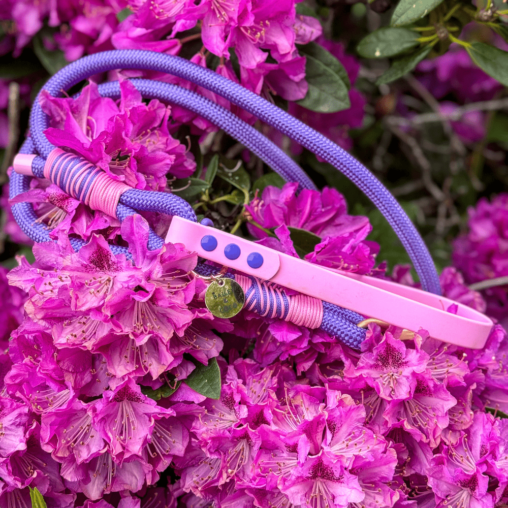 Rope Dog Lead COLOUR DROPS® - Love that for you - Bailey and Coco (UK)