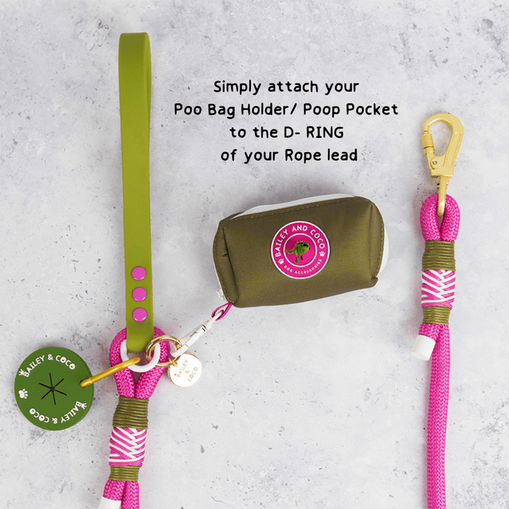 Rope Dog Lead COLOUR DROPS® - Olive it Hot - Bailey and Coco (UK)