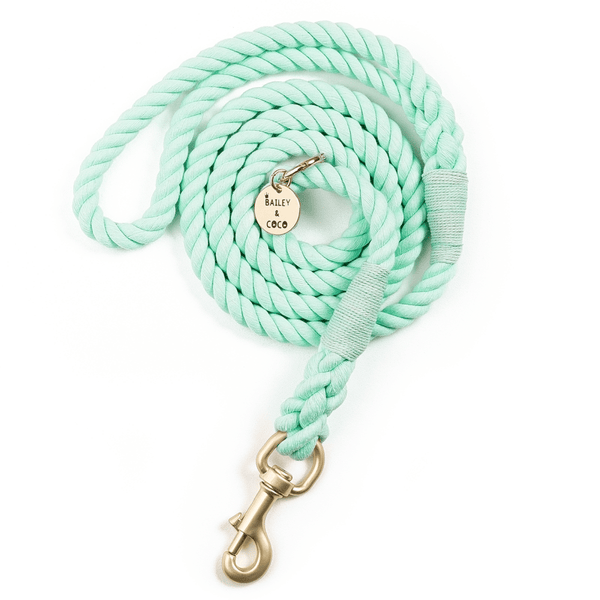 Rope Dog Lead - Neo Mint - Bailey and Coco (UK)