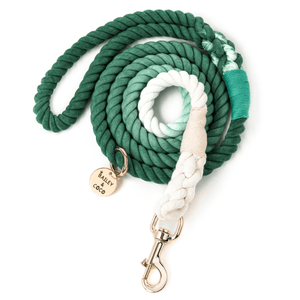 Rope Dog Lead - Ombre Green & White - Bailey and Coco (UK)
