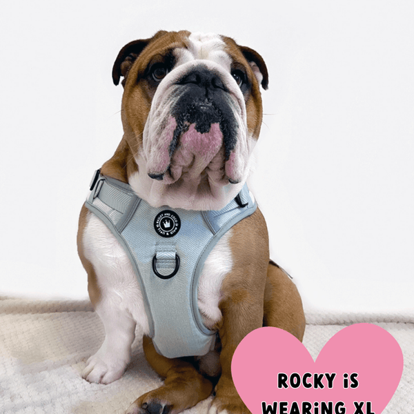 Sage Green Tweed Dog Harness - No Pull & Reflective | Trail & Glow® - alternate view