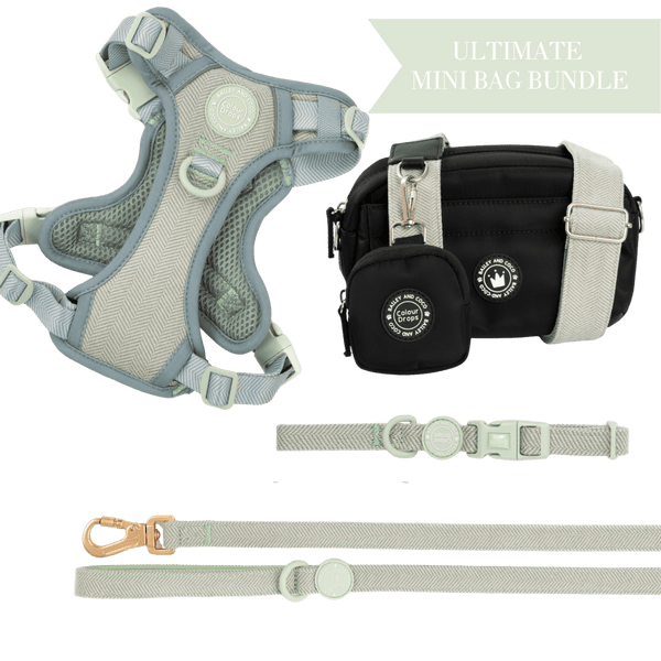 Sage Tweed - Colour Drops - Adjustable Dog Harness, Lead, Collar & Mini Black Dog Walking Bag Bundle - Bailey and Coco (UK)