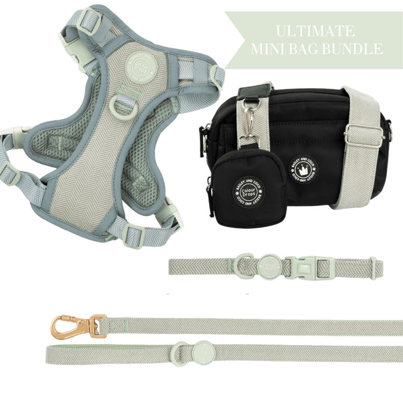 Sage Tweed - Colour Drops - Adjustable Dog Harness, Lead, Collar & Mini Black Dog Walking Bag Bundle - Bailey and Coco (UK)