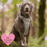 Sage Tweed - Colour Drops - Adjustable Dog Harness, Lead, Collar & Mini Black Dog Walking Bag Bundle - Bailey and Coco (UK)