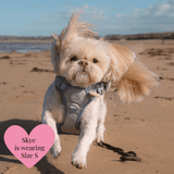 Sage Tweed - Colour Drops - Adjustable Dog Harness, Lead, Collar & Mini Black Dog Walking Bag Bundle - Bailey and Coco (UK)