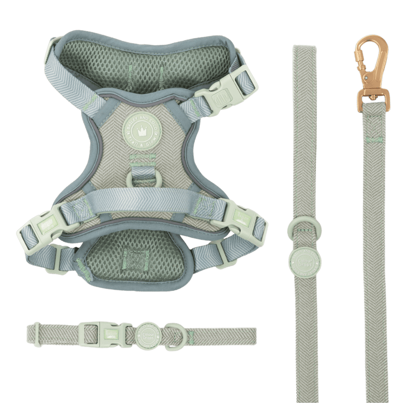 Sage Tweed Trail & Glow Dog Harness, Lead & Collar Bundle - Bailey and Coco (UK)