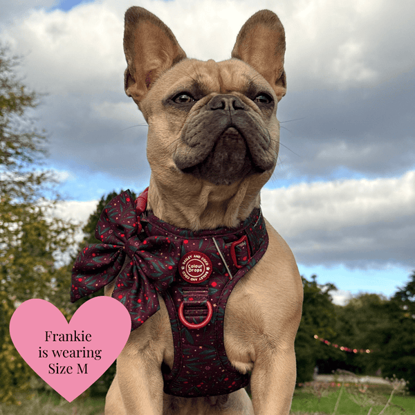 Sailor Bow Tie - Colour Drops - Jingle Berry - Bailey and Coco (UK)