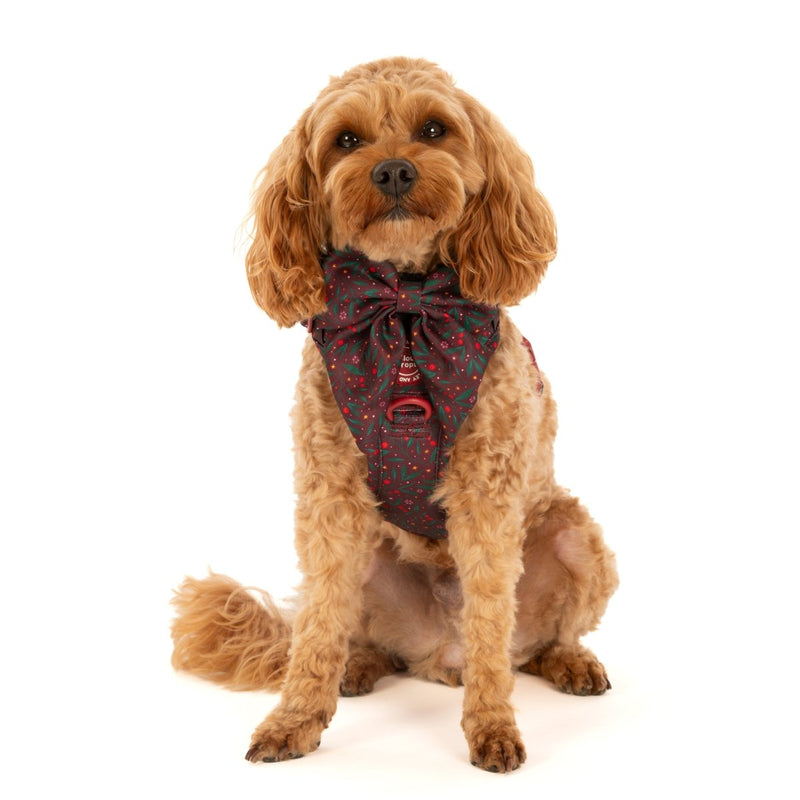 Sailor Bow Tie - Colour Drops - Jingle Berry - Bailey and Coco (UK)