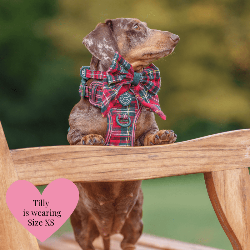 Sailor Bow Tie - Colour Drops - Red Highland Tartan - Bailey and Coco (UK)