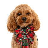 Sailor Bow Tie - Colour Drops - Red Highland Tartan - Bailey and Coco (UK)