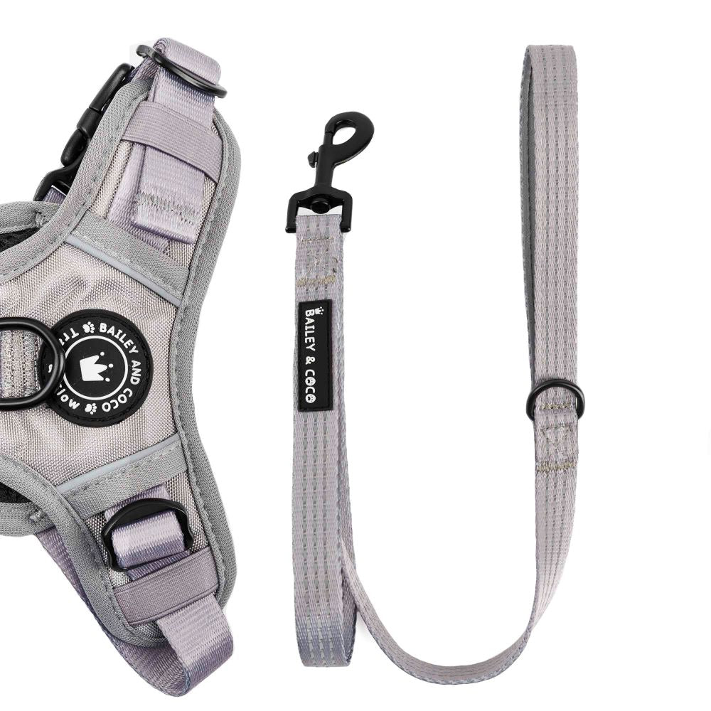 Trail & Glow® Fabric Dog Lead 5ft - The Silver Grey One.