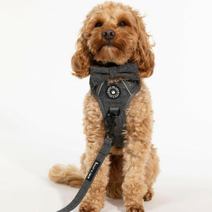 Slate Tweed Adjustable Dog Harness, Lead, Collar & Dog Walking Bag Bundle - Bailey and Coco (UK)